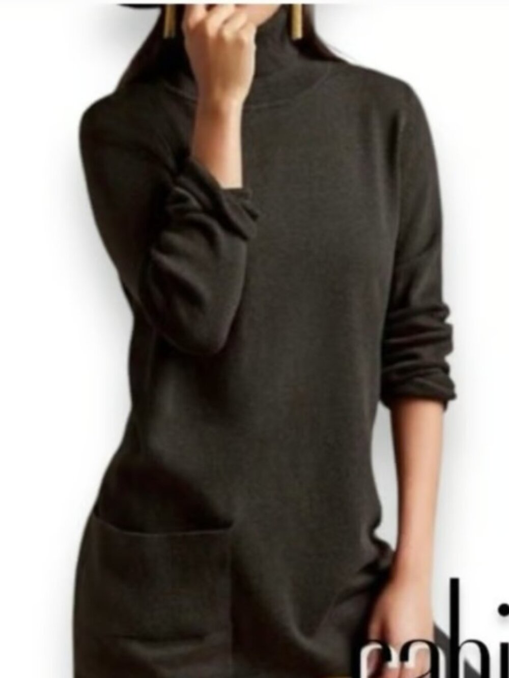 CAbi Fireside Tutleneck Tunic/Dress - Picture 2 of 10